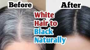 White hair to Black Naturally| Hair dye at home| Safeed balon ko kala karne ka tarika