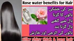 How to make your hair grow faster with water |rose water for hair growth|rose water benefits