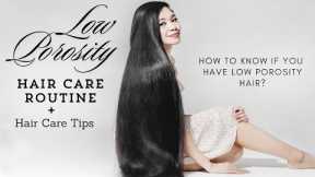 Hair Care Routine For Low Porosity Hair- Solution To Your Dry Hair Problems