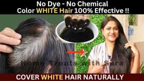 I Apply it on My White Hair & see the Magic | How to Color White Hair at Home Naturally, 100% works