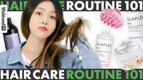 Hair Care Routine Tips | From Oily Scalp to Dry Hair